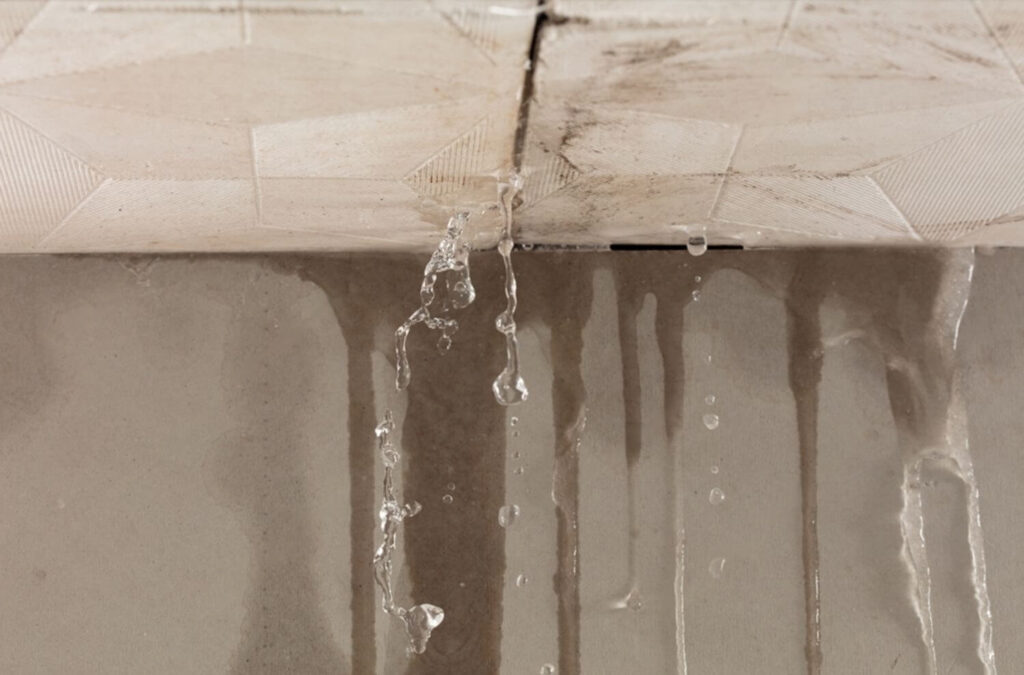 Emergency Steps to Take if Your Roof Starts Leaking After a Storm